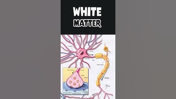 This weird skill helps you learn to code faster