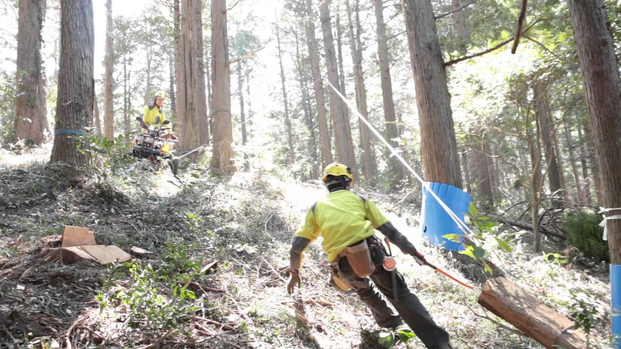 あたらしい林業 WO-un 【Our forestry video log 02 】ATVウインチ