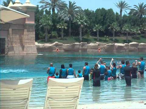 The Dolphin Bay @ Atlantis, The Palm, Dubai