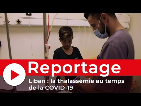 Liban Soigner Les Enfants Souffrant De Thalassémie