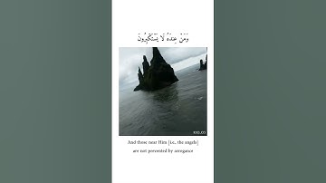 سورة الأنبياء آية (19) - پيشه وا قادر الكردي 🔊🤍