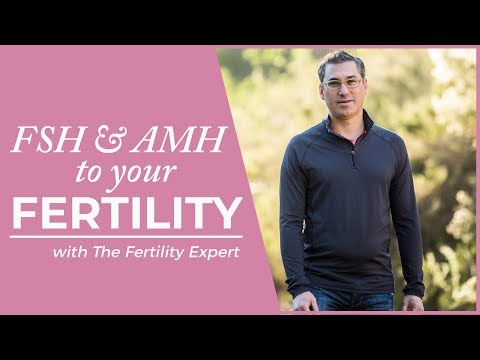 Vídeo: Diferencia Entre AMH Y FSH