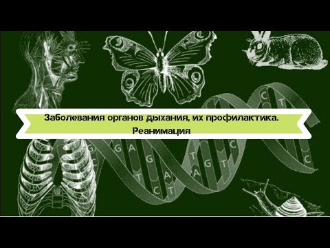 Биология 8 класс $23 Заболевания органов дыхания, их профилактика. Реанимация