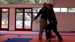 Demo slow motion replay.  Systema Instructor Frank Arias.