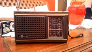 Rádio Motorádio Rpf-M31