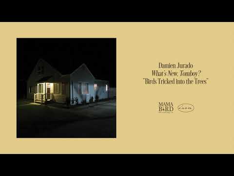 Damien Jurado - &quot;Birds Tricked into the Trees&quot; (Art Track)