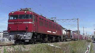 【JR貨物】1063レ ED76-1019