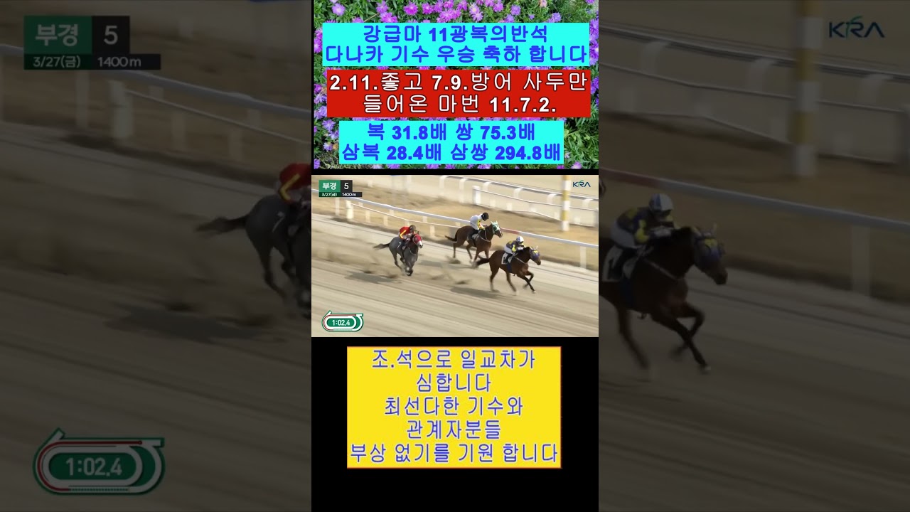 강급마 10광복의반석 다나카 기수 우승 축하 합니다 영상보기