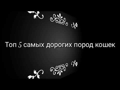ТОП 5 самых