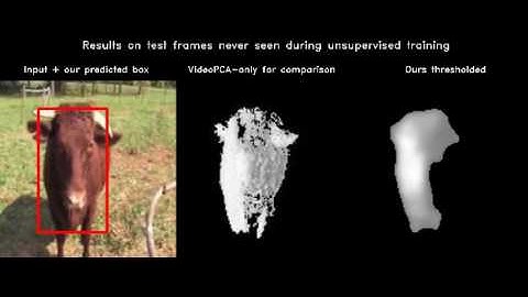 cow 2 - unsupervised object discovery