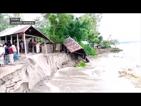 কয়েক ঘণ্টায় নদীতে বিলীন ঘরবাড়ি-গাছপালা! | River Erosion