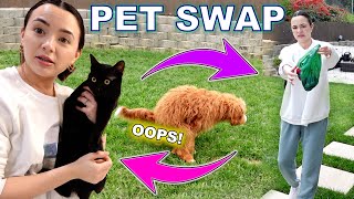 Swapping Pets for a Day  Merrell Twins