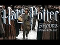 Diagon Alley ◈ 5 Hours Harry Potter ASMR Ambience ◈ Ollivanders, Flourish & Blotts, Owl Post & More!