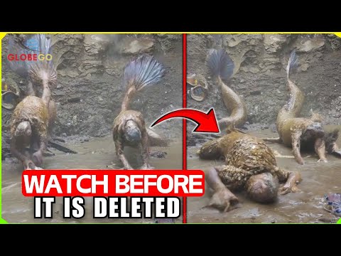 NO ONE HAD TO SEE THIS Fishermen Recorded THIS Near The River And It S Terrifying Caught On Camera