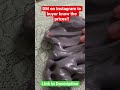 Chocolate Clouds in Hazy Sky 🍫 🌌 / New Slime in Restock #shorts #slime_restock #slime_asmr