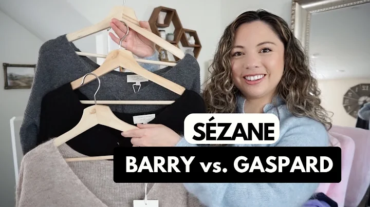 SEZANE BARRY CARDIGAN vs. GASPARD CARDIGAN | Sezan...