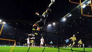 Roman Weidenfeller - Borussia Dortmund