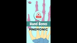 Easiest Hand Bones Mnemonic (Anatomy)