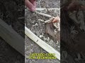 Fazendo Fogo com Pederneira ASMR
