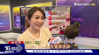 黃斐瑜主持國際財經節目 邀「真老鷹」降臨 @TVBSFinanceLive