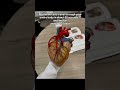 Things from medical school that are just wild 🤯🤯 (highly requested pt. 2) #facts