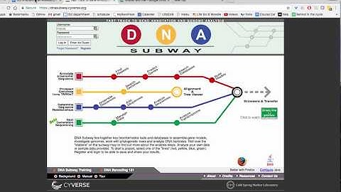 Using DNA Subway to Create a Cladogram