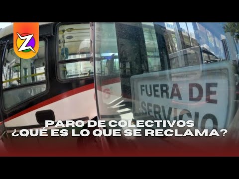 CÓDIGO DE BARRAS | ¿Por qué paran los colectivos hoy?