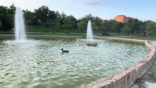 Evening walk in the park next to our home / June 2024 / Madrid / Spain