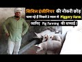 सूअर पालन का पूरा सच | How To Do Piggery Farming | Piggery Business | Pig Farming India