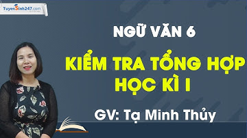 Kiểm tra tổng hợp học kì I – Ngữ Văn 6 – Cô Tạ Minh Thủy