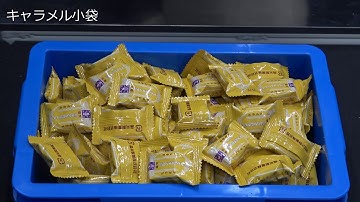 Bin Picking of Non-rigid Objects (非剛体物体のバラ積みピッキング)