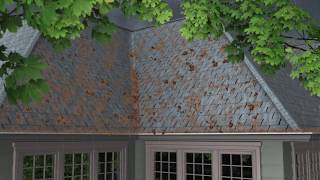 Quality Edge W-Valley