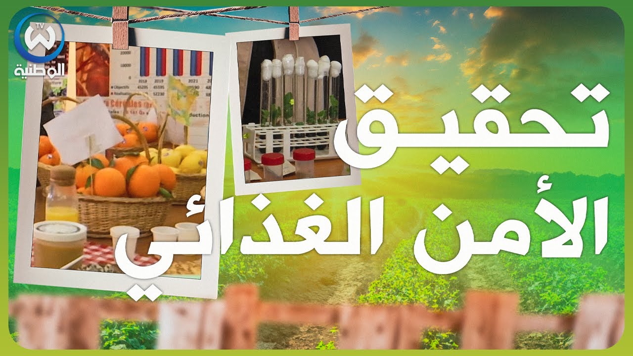 تحقيق الأمن الغذائي في الجزائر..هذه هي الاستراتيجية الجديدة