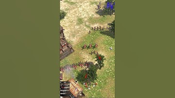 How Aizamk used fake canons to win | USA vs Italy | Aiz Vs Gracefulrestart | #aoe3de #ageofempires3
