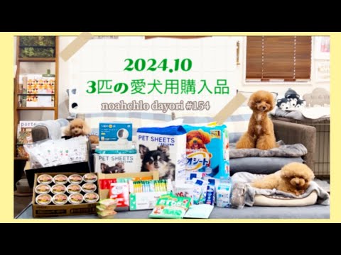 【トイプードル3匹との暮らし/購入品紹介】2024年10月の合計金額は…