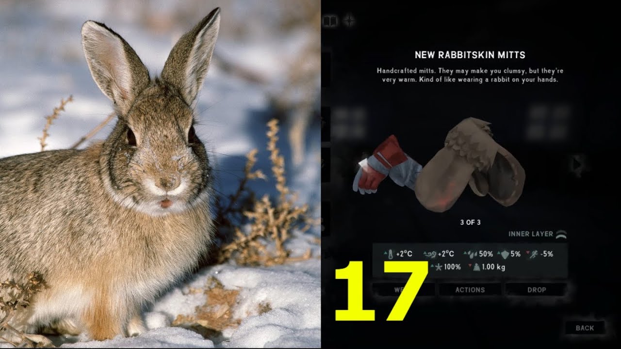 17 The long dark RABBIT MITTENS INTERLOPER gameplay Coastal