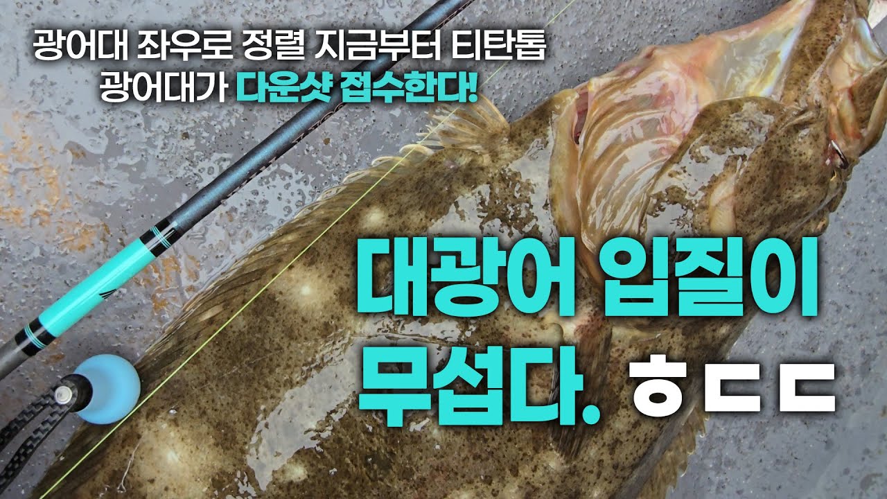대광어 입질 터졌다! 꺼내는 것이 문제로다. 터짐 해결책 #광어다운샷 #광어낚시 #아오맥스