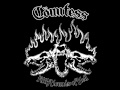 Cöuntess - Heavy Artillery (Tank cover)