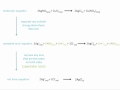 Ionic Equations and Spectator Ions Quiz