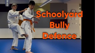Schoolyard Bully Defense