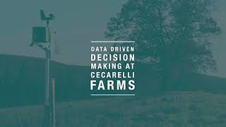 Data Driven Decision Making at Cecarelli Farms