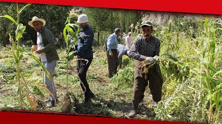 Hakkari’de Kış Hazırlığı Başladı Resimi