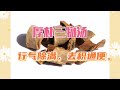 中医中药知识普及 厚朴三物汤 主治胀满较重大便秘结的病症 和小承气汤的不同比较 中医中药知识普及 厚朴三物汤 主治胀满较重大便秘结的病症 和小承气汤的不同比较