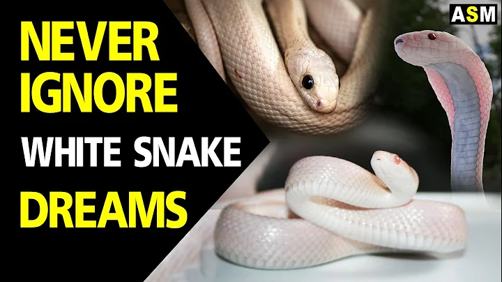 What does white snake dream meaning | dream interpretation | dreaming of white snake - DayDayNews