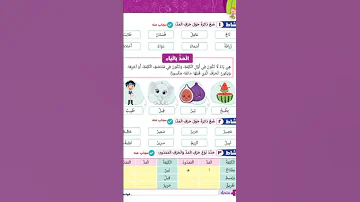 كتاب سندباد العبقري في تأسيس النحو بالشرح الجميل للصف الاول والثاني والثالث الابتدائي روعه 