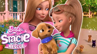 ¡Barbie y Stacie conocen a nuevos perritos! | Clip de la película | Barbie: Stacie al Rescate by Barbie en Español 1,909 views 1 month ago 1 minute, 10 seconds