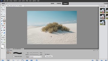 Adobe Photoshop Elements 2020 Cloning and Copying