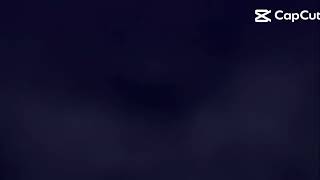 Milo And Brusko Be Like