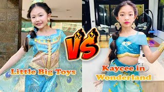 Little Big Toys VS Kaycee in Wonderland Transformation 👑 From Baby To 2024