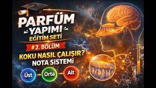 Parfüm Yapımı Eğitim Seti Koku Nasıl Çalışır? Nota Sistemi